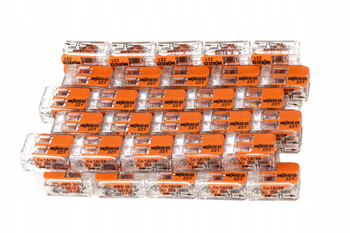 Szybkozłączki Wago 221-412 0,14-4 mm² / 2 50 szt.