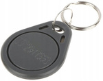Brelok 125kHz S0103N-GY   szary +NR