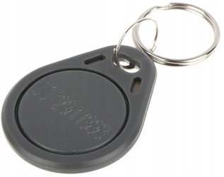 Brelok 125kHz S0103N-GY   szary +NR