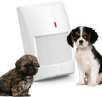 Czujka ruchu dualna cyfrowa SATEL GREY 