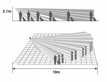 SWAN QUAD CZUJKA CZUJNIK RUCHU PIR CROW