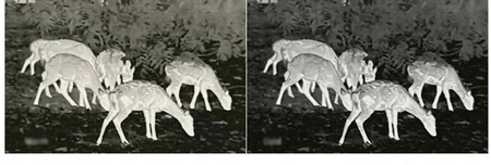 Kamera termowizyjna Infiray FH35R 1818m dalmierz