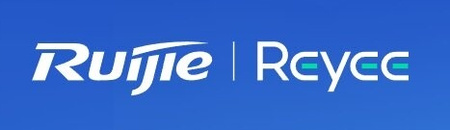 Router przewodowy Ruijie RG-EG310GH-P-E