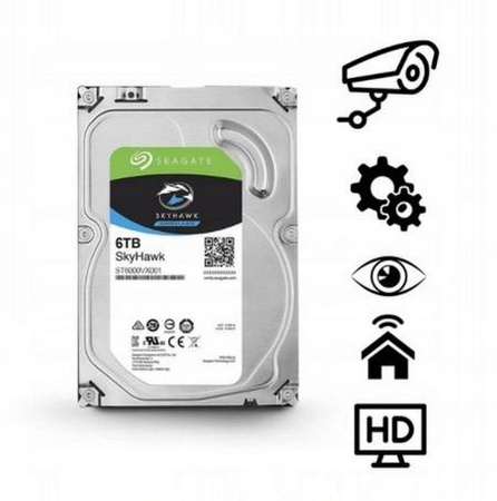 Dysk Twardy 6TB SEAGATE SkyHawk ST6000VX001