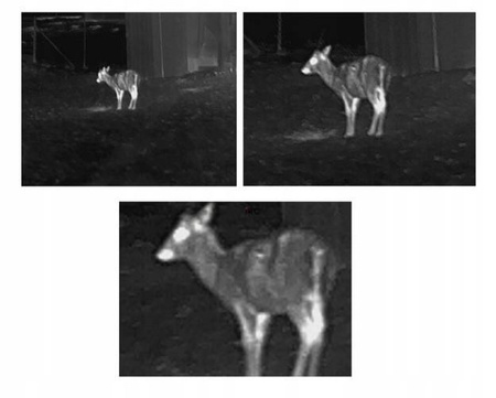 Kamera termowizyjna Infiray E3 max V2.0 XEYE II