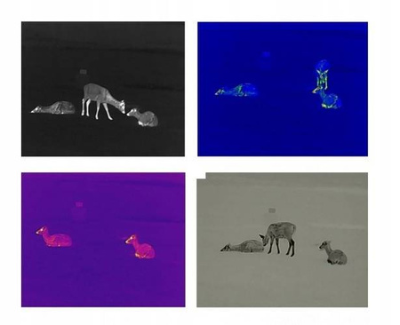 Kamera termowizyjna Infiray FH35R 1818m dalmierz